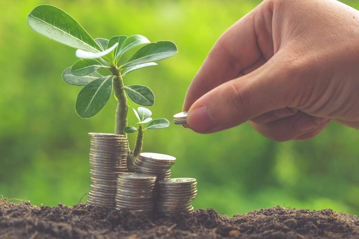 investment-11